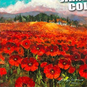 Daydreaming in a Field of Poppies by James Coleman