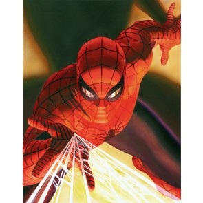 Visions: Spider-man by Alex Ross (Lithograph)
