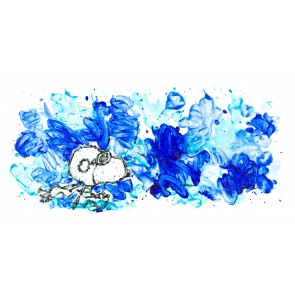 Partly Cloudy Suite: Partly Cloudy 7:15 Morning Fly by Tom Everhart (Regular)