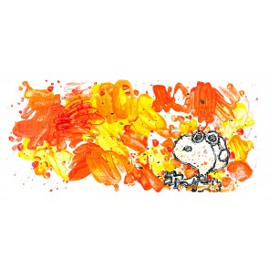 Partly Cloudy Suite: Partly Cloudy 7:30 Morning Fly by Tom Everhart (Regular)