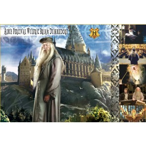 The Witches and Wizards of Harry Potter Collection: Albus Dumbledore