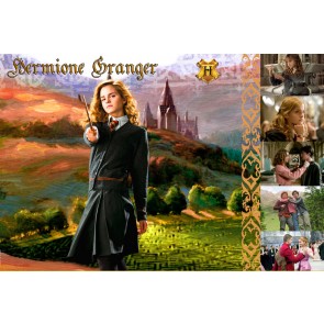 The Witches and Wizards of Harry Potter Collection: Hermione Granger