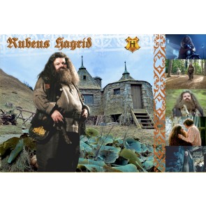 The Witches and Wizards of Harry Potter Collection: Rubeus Hagrid
