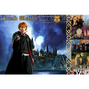 The Witches and Wizards of Harry Potter Collection: Ronald Weasley