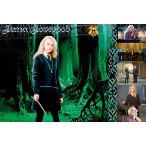 The Witches and Wizards of Harry Potter Collection: Luna Lovegood