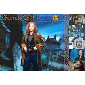 The Witches and Wizards of Harry Potter Collection: Sirius Black