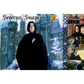 The Witches and Wizards of Harry Potter Collection: Severus Snape